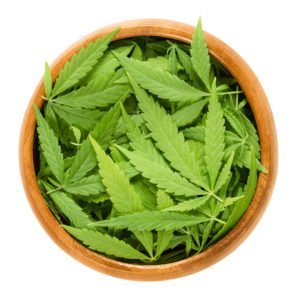 Marijuana Weed MissouriWe